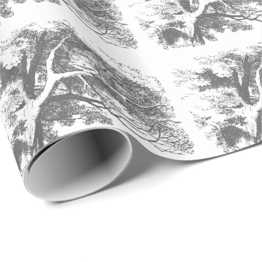 Alice in Wonderland Cheshire Cat inpakpapier (Rol Hoek)