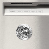  Alice in Wonderland, Cheshire Cat Magneet (Insitu (Vaatwasser))