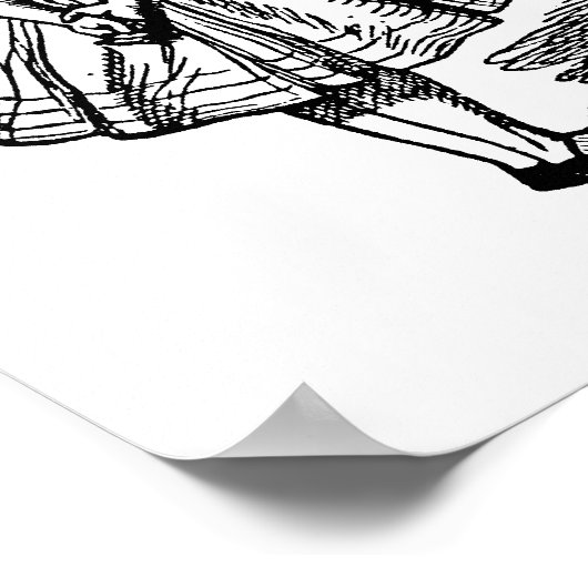 Alice in Wonderland, Cheshire Cat Poster (Hoek)