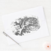  Alice in Wonderland Cheshire Cat Stickers (Envelop)