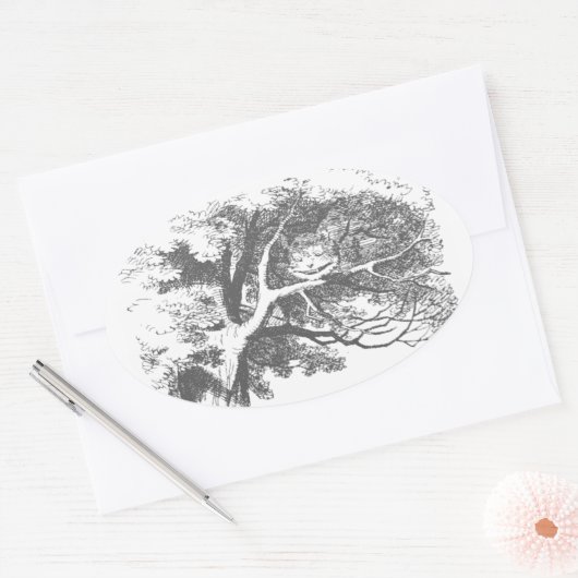  Alice in Wonderland Cheshire Cat Stickers (Envelop)