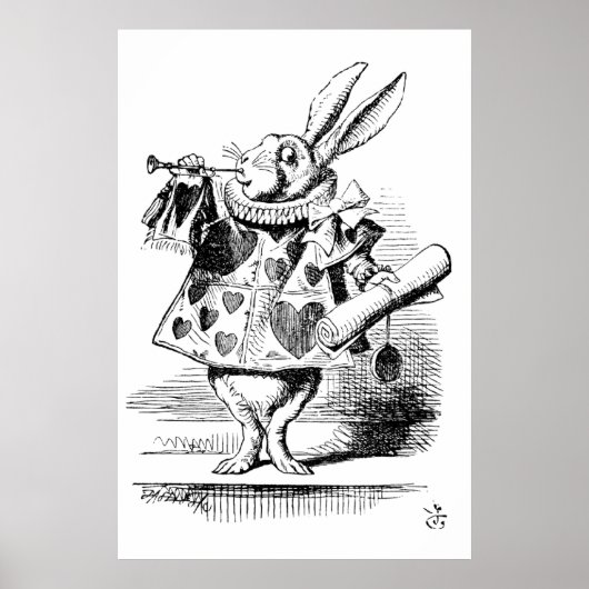 Alice in Wonderland - De Herald (wit konijn) Poster (Voorkant)