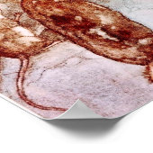  Alice in Wonderland Dierenvrienden Poster (Hoek)