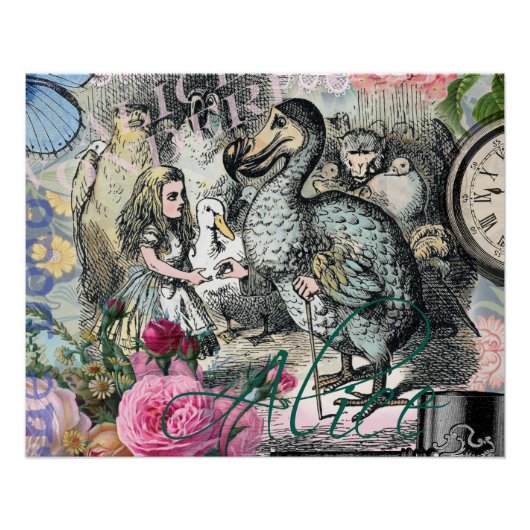 Alice in Wonderland Dodo Classic Artwork Perfect Poster (Voorkant)