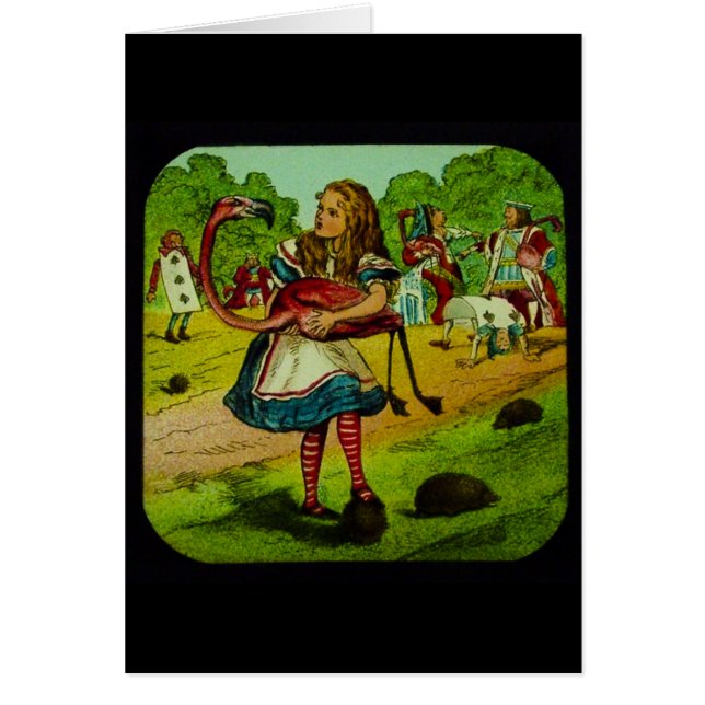 Alice in Wonderland Flamingo Croquet (Voorkant)