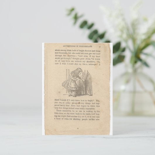 Alice in Wonderland, hoofdstuk 1, onderaan het kon Briefkaart (Staand voorkant)