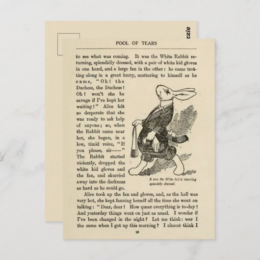  Alice in Wonderland Illustratie  Briefkaart (Voorkant / Achterkant)