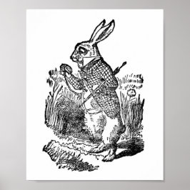 Alice in Wonderland Illustratie Poster