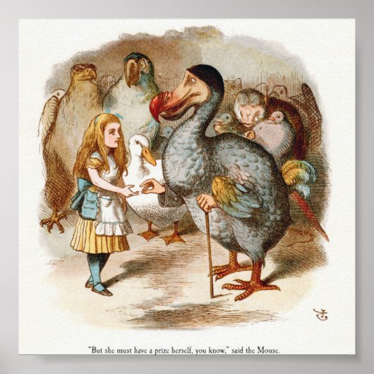 Alice in Wonderland Illustratie Poster (Voorkant)