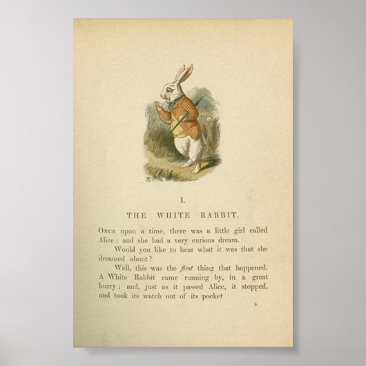  Alice in Wonderland Illustratie Poster (Voorkant)