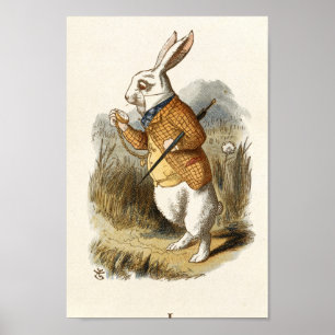 Alice in Wonderland Illustratie Poster