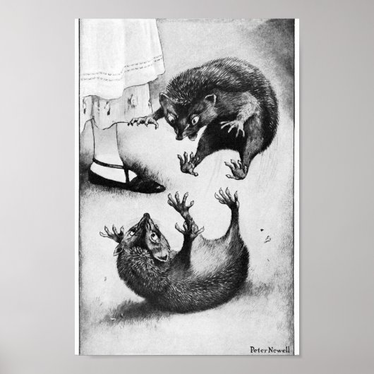  Alice in Wonderland Illustratie Poster (Voorkant)