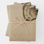  Alice in Wonderland Inpakpapier Vel (In situ)