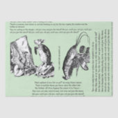 Alice in Wonderland Kreeft Quadrille Song Tissuepapier (Voorkant)