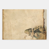  Alice in Wonderland met Flamingo Inpakpapier Vel (Voorkant 3)