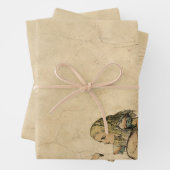 Alice in Wonderland met Flamingo Inpakpapier Vel (In situ)