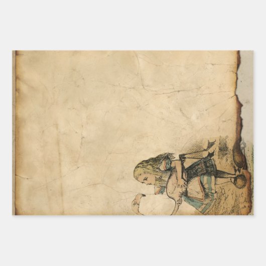  Alice in Wonderland met Flamingo Inpakpapier Vel (Voorkant)