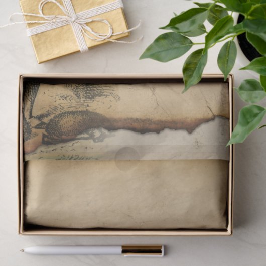  Alice in Wonderland met Flamingo Tissuepapier (Geschenk)