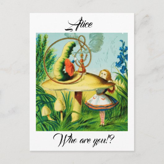 Alice in Wonderland - paddenstoel, zat een rups Briefkaart (Voorkant)