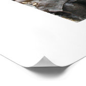 Alice in Wonderland Poster (Hoek)