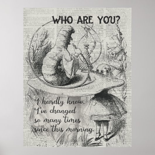 Alice in Wonderland Poster (Voorkant)