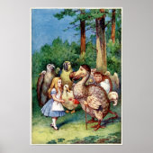 Alice in Wonderland Poster (Voorkant)