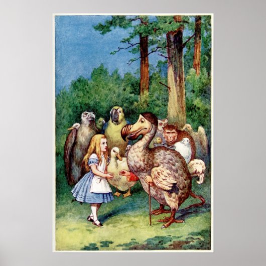 Alice in Wonderland Poster (Voorkant)