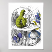 Alice in Wonderland Poster (Voorkant)