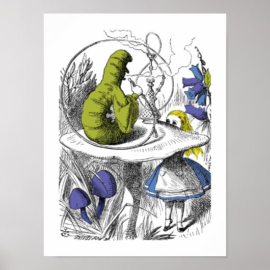 Alice in Wonderland Poster (Voorkant)