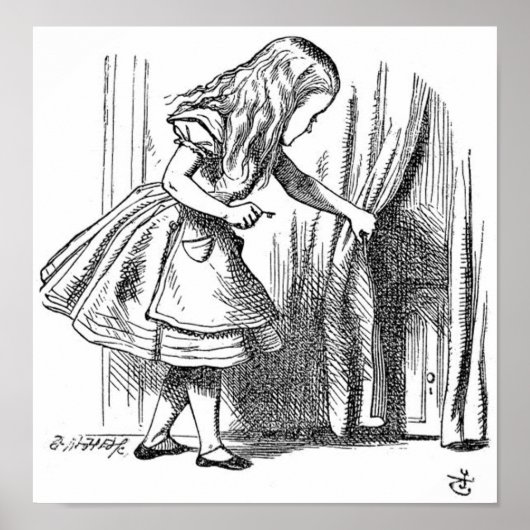 Alice in Wonderland Poster (Voorkant)