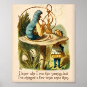 Alice in Wonderland Quote - ik weet wie ik was - C Poster (Voorkant)