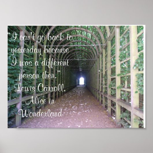 Alice in Wonderland Quote Poster (Voorkant)