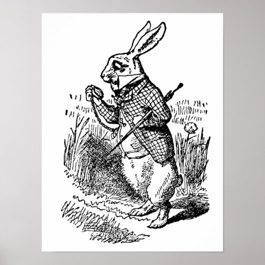  Alice in Wonderland, The White Rabbit Watch Poster (Voorkant)