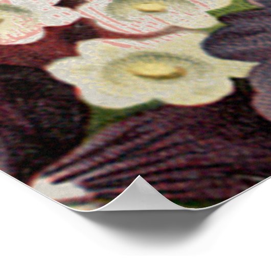 Alice in Wonderland-theepersonages Poster (Hoek)