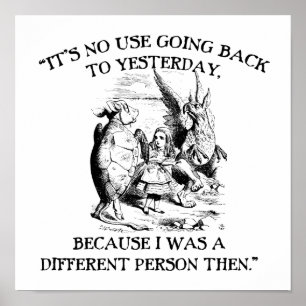 Alice in Wonderland - Verschillende persoon Poster