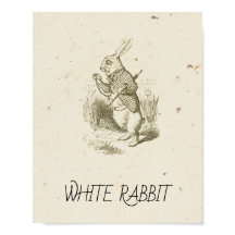 Alice in Wonderland - WITTE KONIJN