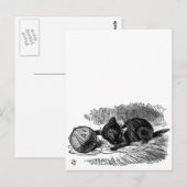 Alice in Wonderland, zwarte kat boektekening Briefkaart (Voorkant / Achterkant)