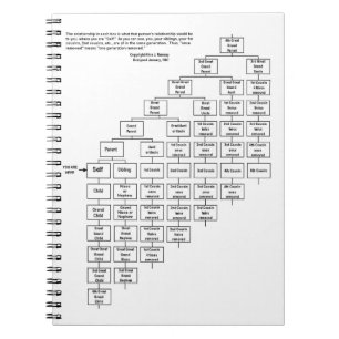 Alice J Ramsey Cousin Chart Notebook Notitieboek