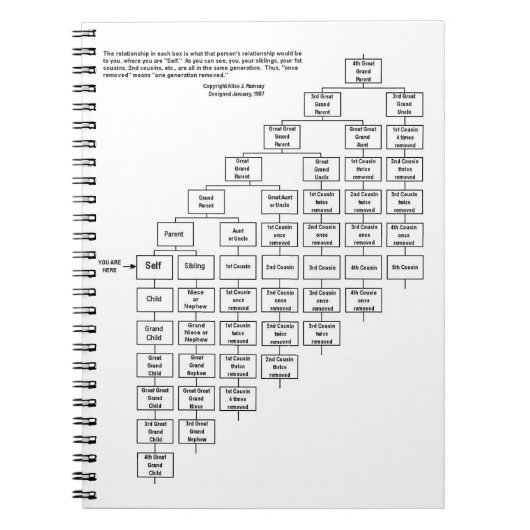 Alice J Ramsey Cousin Chart Notebook Notitieboek (Voorkant)