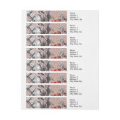 alice nonsens wonderland gordijn adreslabel wikkel (Vel)