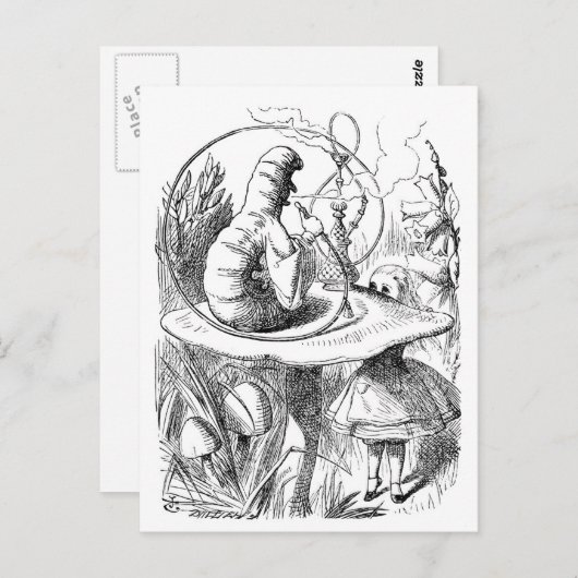 Alice ontmoet de Caterdepijler - Alice in Wonderla Briefkaart (Voorkant / Achterkant)