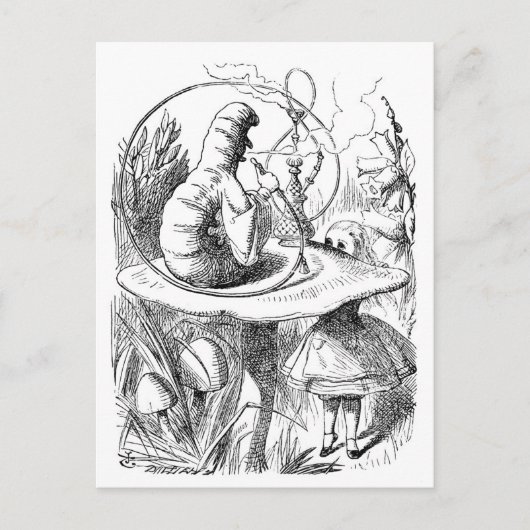 Alice ontmoet de Caterdepijler - Alice in Wonderla Briefkaart (Voorkant)