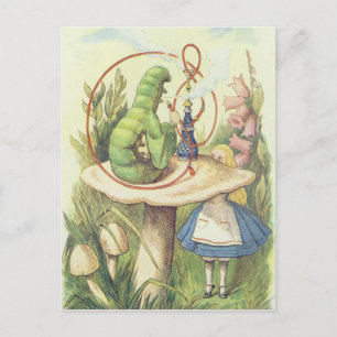 Alice ontmoet de Caterstyle Briefkaart