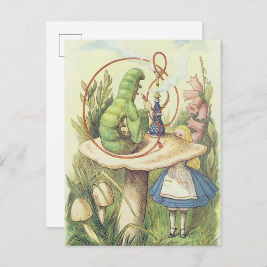 Alice ontmoet de Caterstyle Briefkaart (Voorkant / Achterkant)