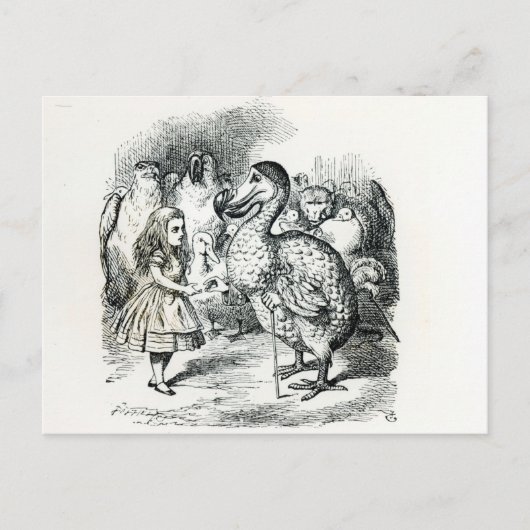 Alice ontmoet de Dodo Briefkaart (Voorkant)