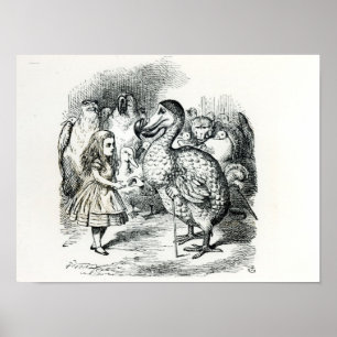 Alice ontmoet de Dodo Poster