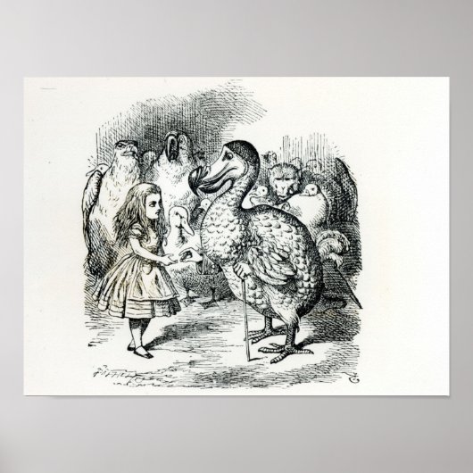 Alice ontmoet de Dodo Poster (Voorkant)