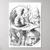 Alice ontmoet het Poster Caterstyle (Voorkant)