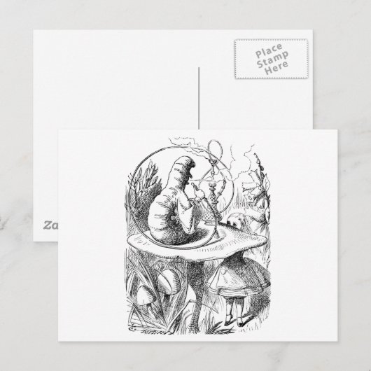 Alice raadpleegt de Caterstyle Briefkaart (Voorkant / Achterkant)