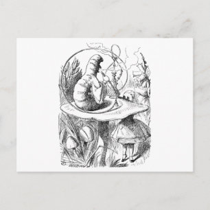 Alice raadpleegt de Caterstyle Briefkaart